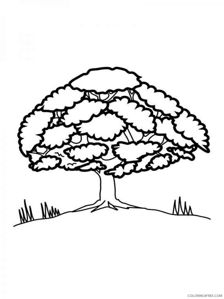 Printable Tree Coloring Pages Tree Nature tree 15 Printable 2021 675 Coloring4free