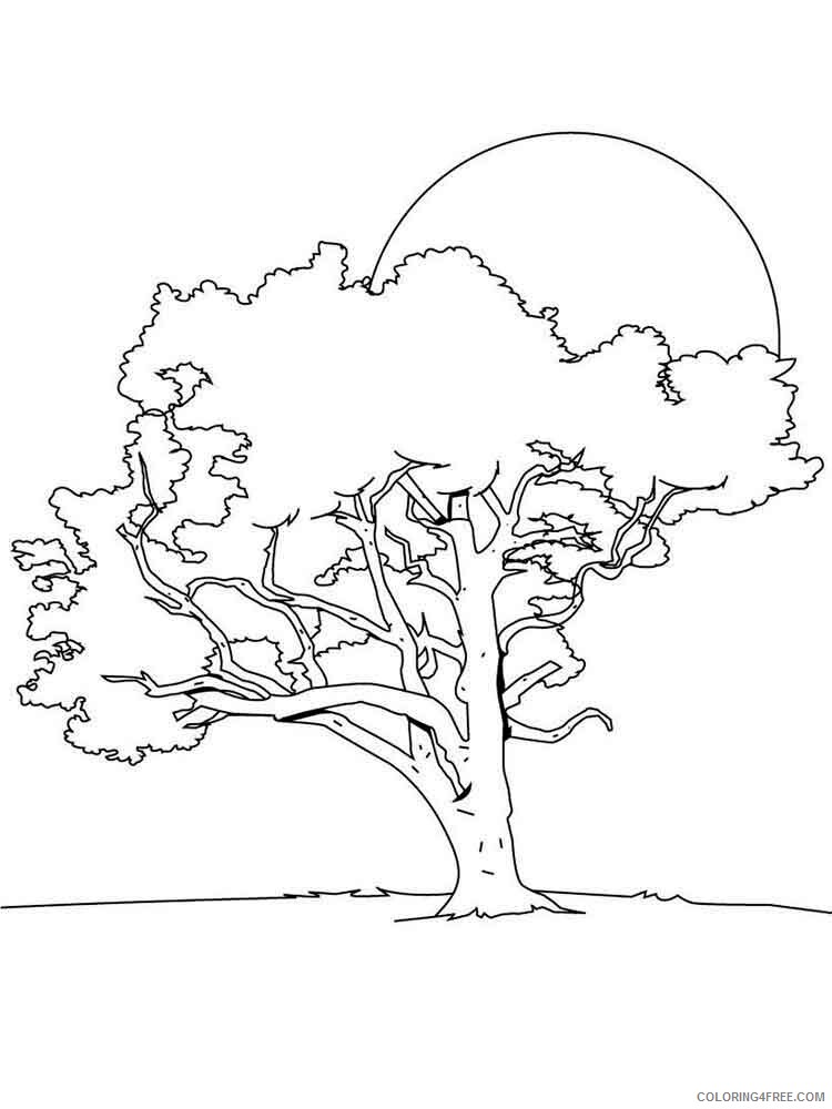 Printable Tree Coloring Pages Tree Nature tree 17 Printable 2021 677 Coloring4free