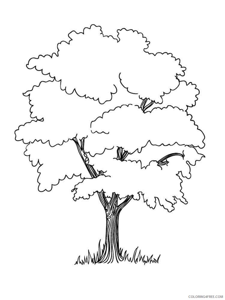 Printable Tree Coloring Pages Tree Nature tree 18 Printable 2021 678 Coloring4free