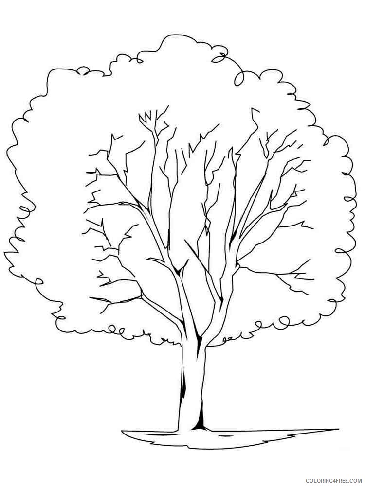 Printable Tree Coloring Pages Tree Nature tree 19 Printable 2021 679 Coloring4free