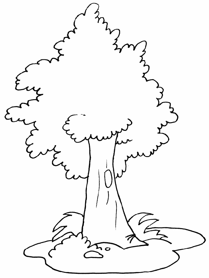 Printable Tree Coloring Pages Tree Nature tree 2 Printable 2021 656 Coloring4free