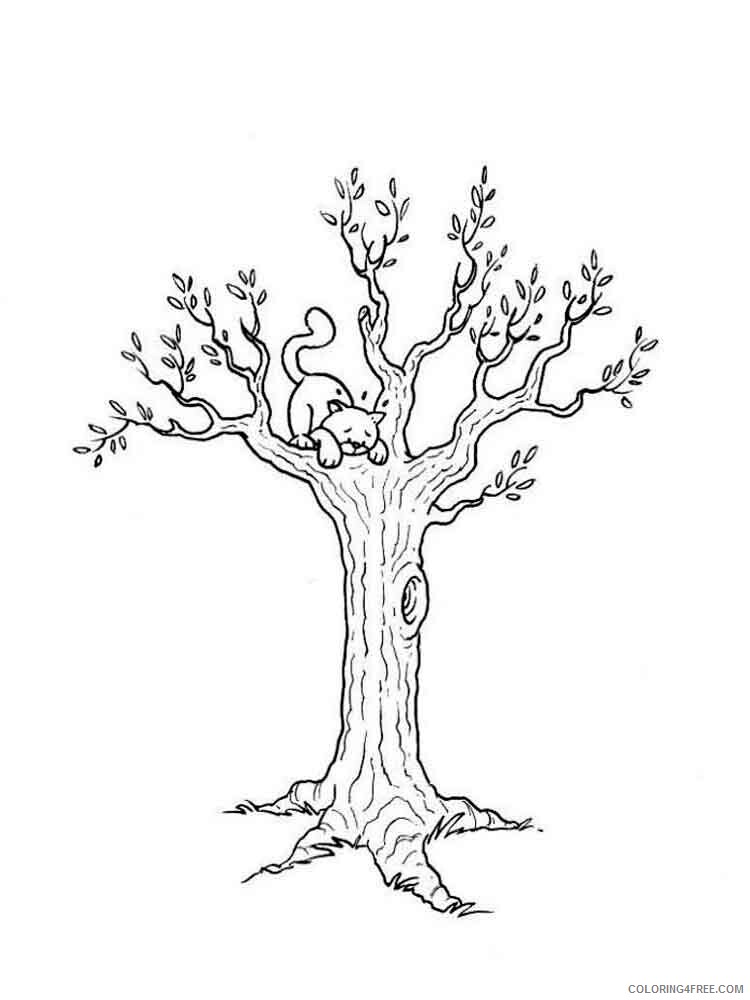 Printable Tree Coloring Pages Tree Nature tree 2 Printable 2021 680 Coloring4free