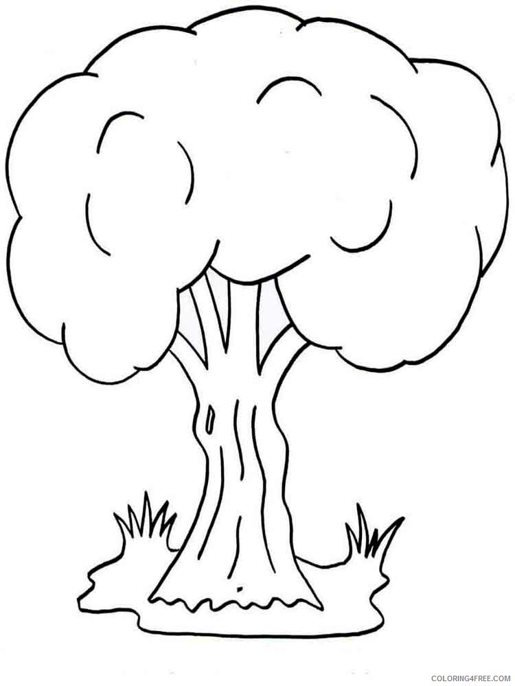 Printable Tree Coloring Pages Tree Nature tree 20 Printable 2021 681 Coloring4free