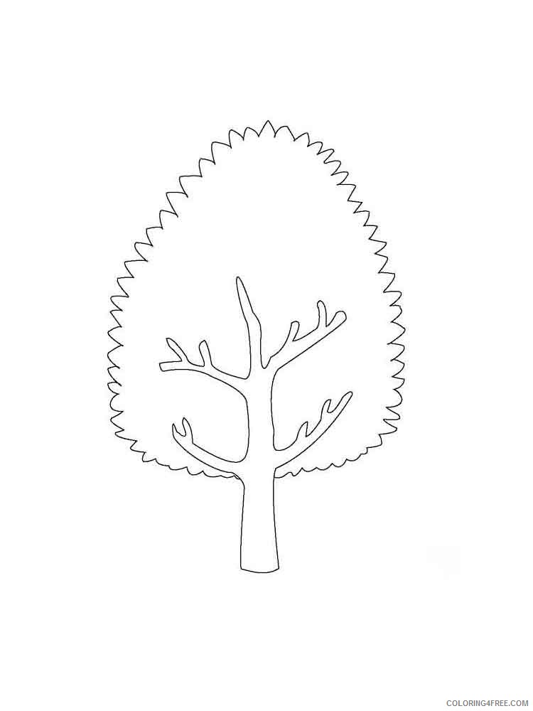Printable Tree Coloring Pages Tree Nature tree 22 Printable 2021 683 Coloring4free
