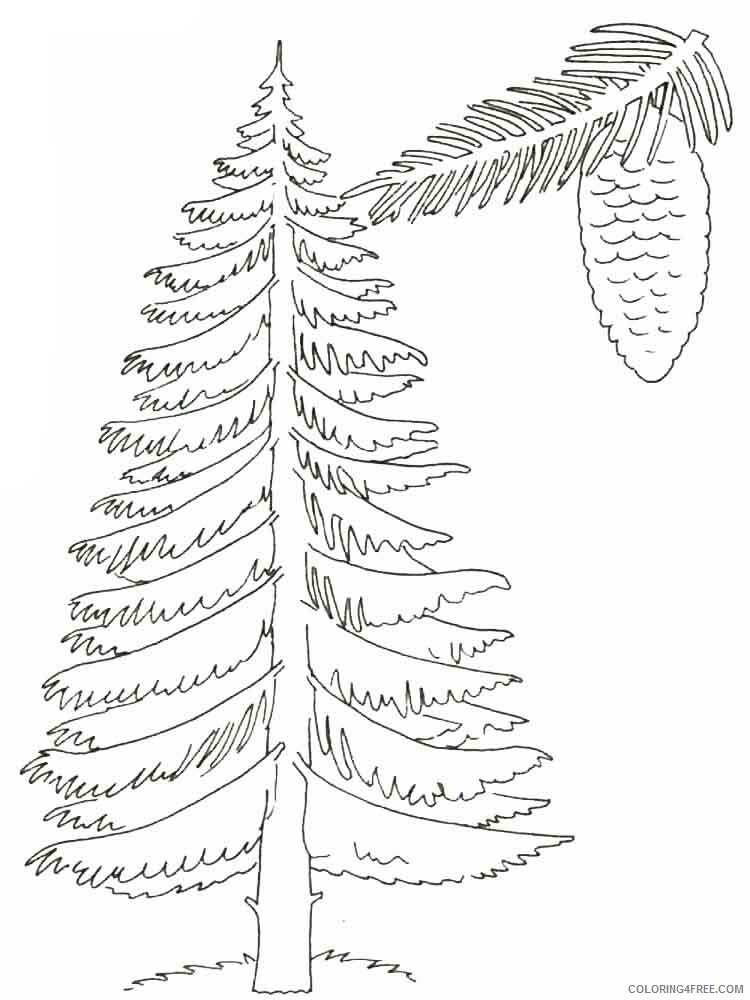 Printable Tree Coloring Pages Tree Nature tree 28 Printable 2021 686 Coloring4free
