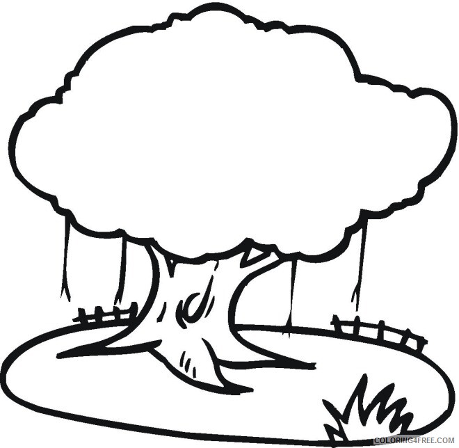 Printable Tree Coloring Pages Tree Nature tree 3 Printable 2021 658 Coloring4free