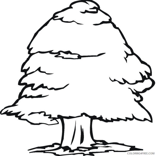 Printable Tree Coloring Pages Tree Nature tree 6 Printable 2021 665 Coloring4free