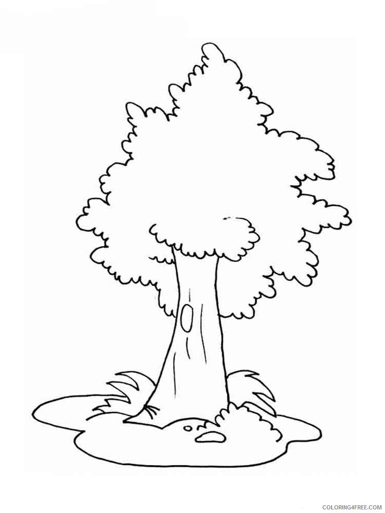 Printable Tree Coloring Pages Tree Nature tree 6 Printable 2021 689 Coloring4free