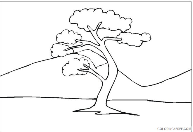 Printable Tree Coloring Pages Tree Nature tree 7 Printable 2021 666 Coloring4free
