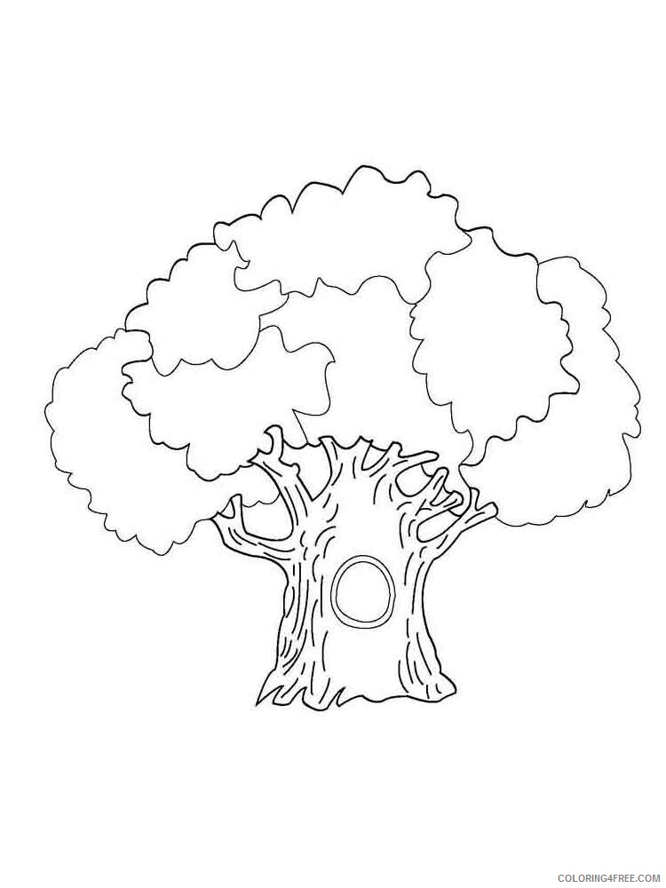 Printable Tree Coloring Pages Tree Nature tree 9 Printable 2021 692 Coloring4free