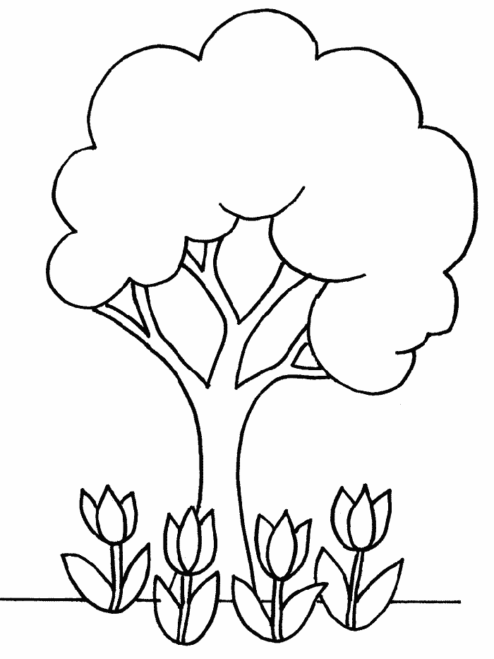 Printable Tree Coloring Pages Tree Nature tree Printable 2021 690 Coloring4free