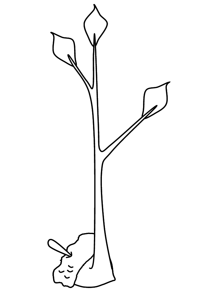 Printable Tree Coloring Pages Tree Nature tree15 Printable 2021 652 Coloring4free