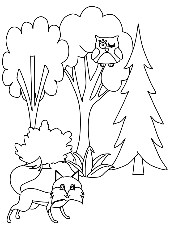 Printable Tree Coloring Pages Tree Nature tree16 Printable 2021 653 Coloring4free