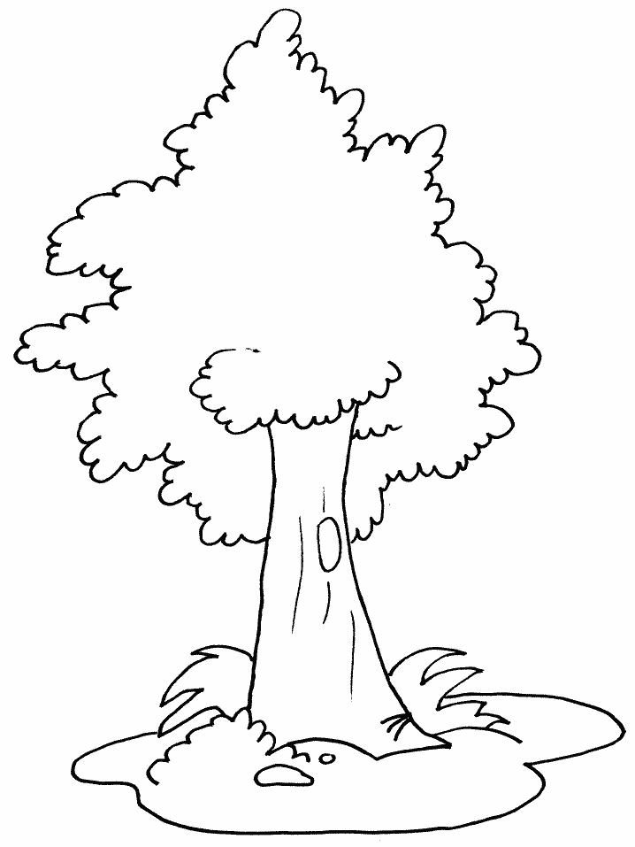 Printable Tree Coloring Pages Tree Nature tree4 Printable 2021 659 Coloring4free
