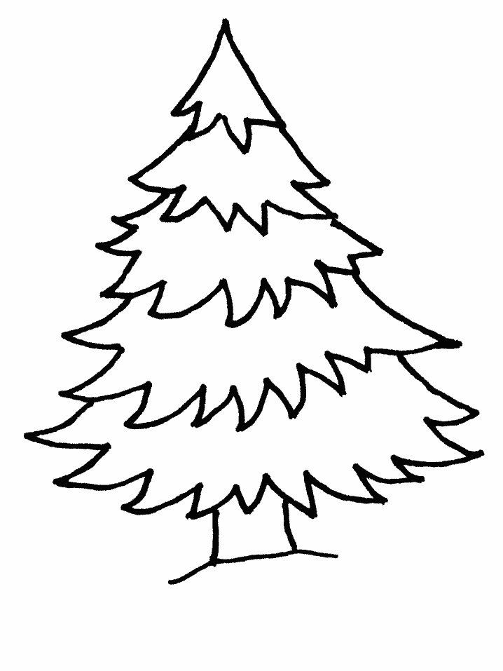 Printable Tree Coloring Pages Tree Nature tree5 Printable 2021 661 Coloring4free