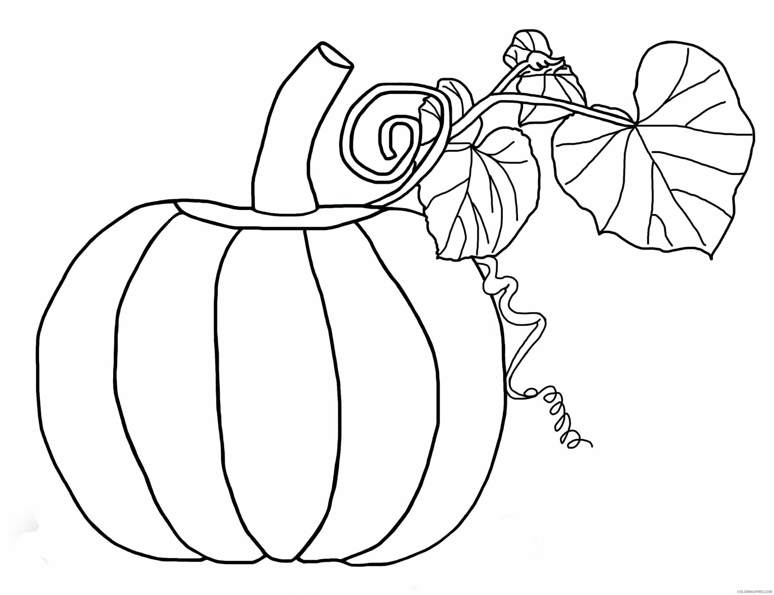 Pumpkin Coloring Pages Vegetables Food Pumpkin Printable 2021 668 Coloring4free
