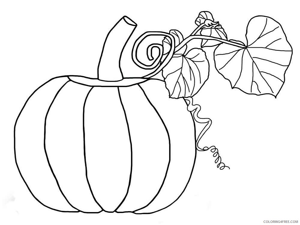 Pumpkin Coloring Pages Vegetables Food Vegetables Pumpkin 3 Printable 2021 736 Coloring4free