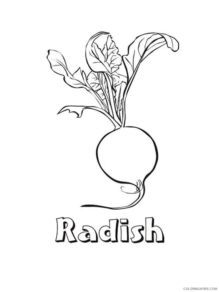 Radish Coloring Pages Vegetables Food Vegetables Radish 8 Printable 2021 744 Coloring4free