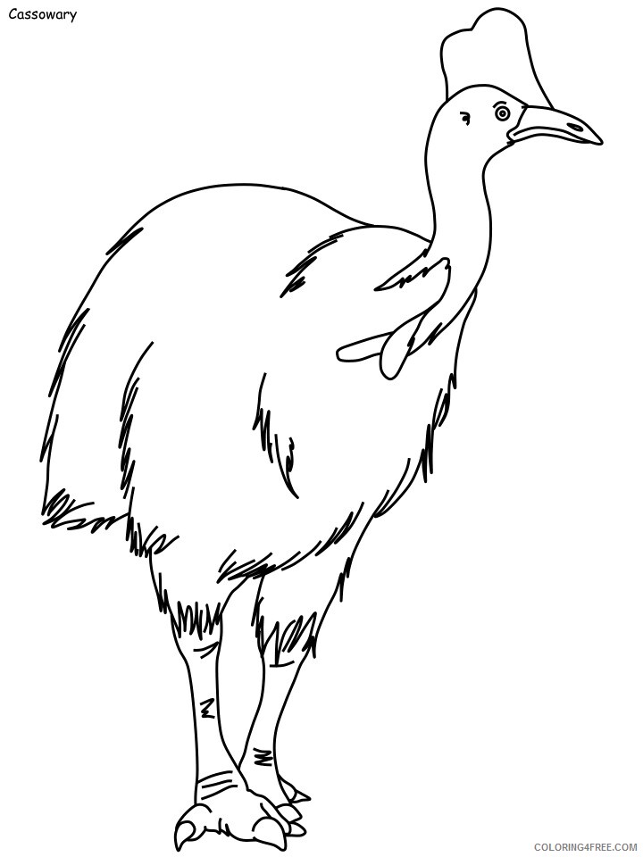 Rainforest Coloring Pages Nature cassowary Printable 2021 468 Coloring4free
