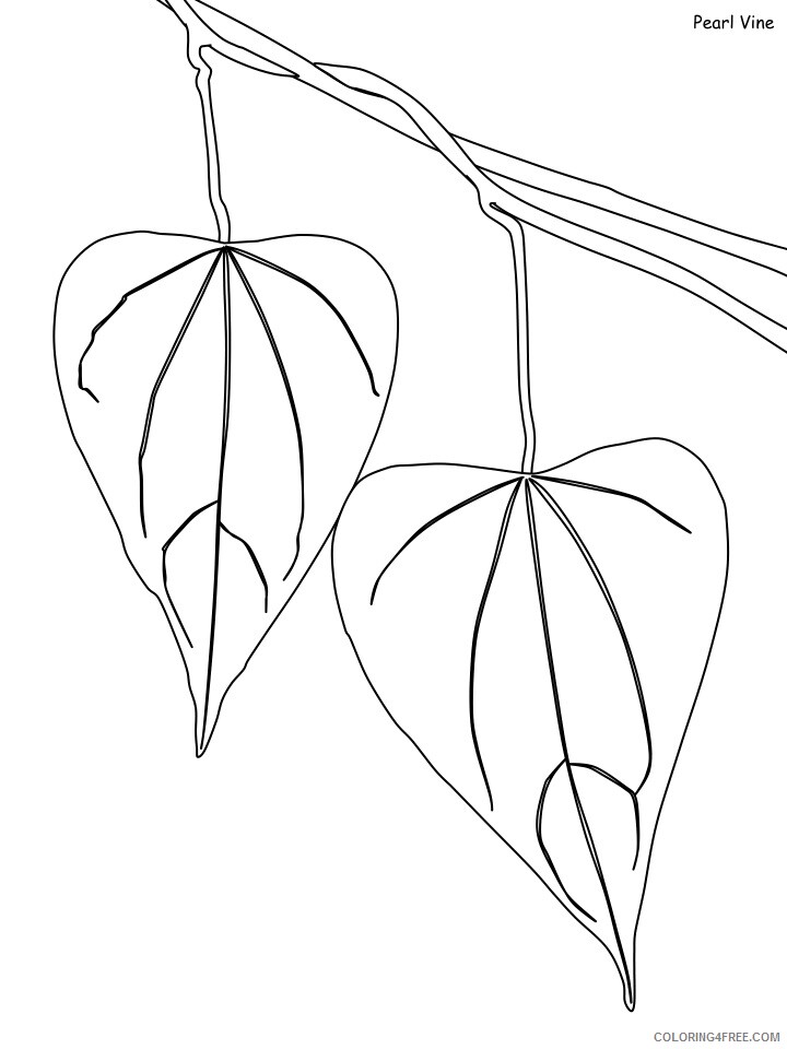 Rainforest Coloring Pages Nature pearl vine Printable 2021 472 Coloring4free