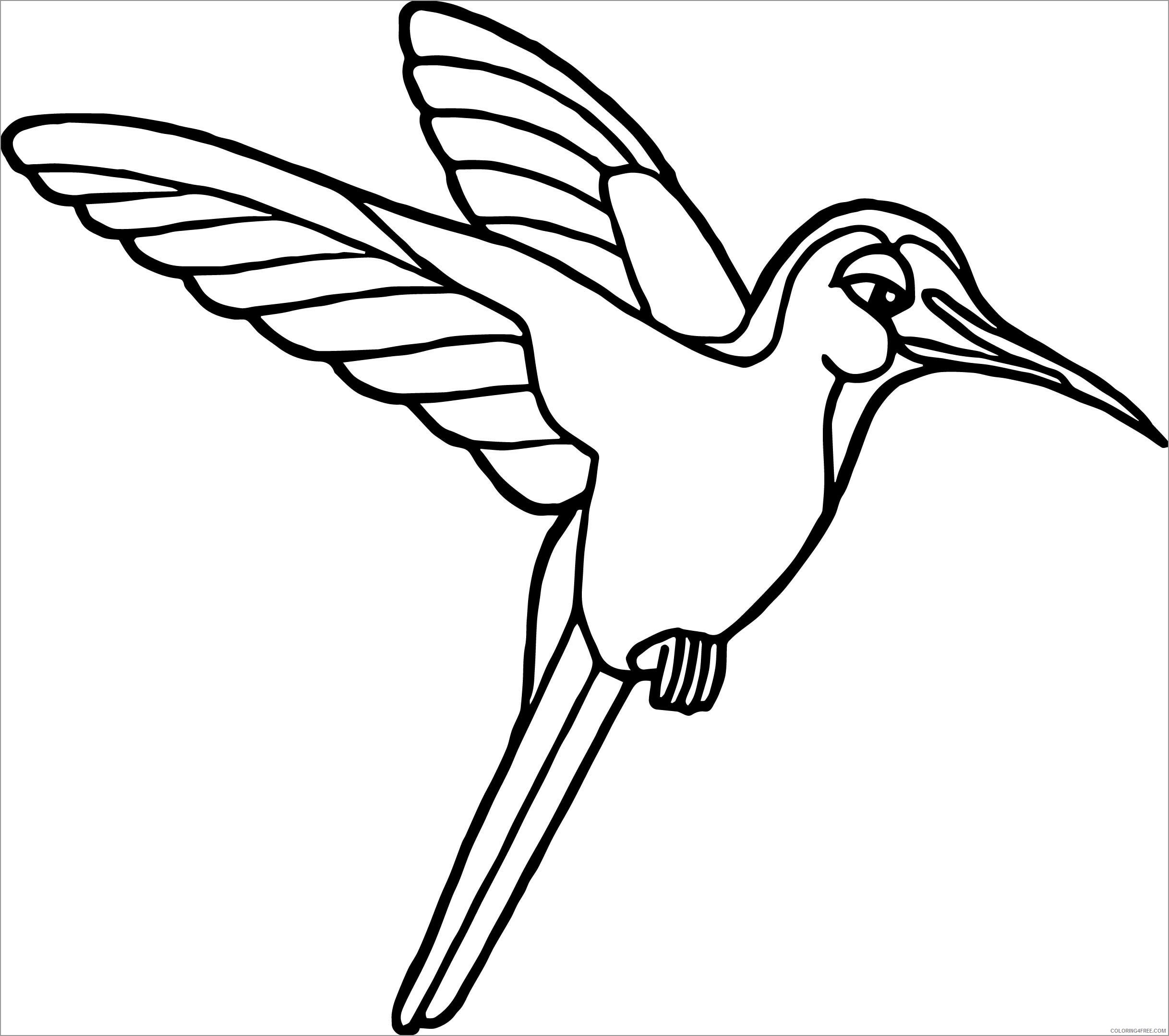 Rainforest Coloring Pages Nature rainforest bird Printable 2021 473 Coloring4free