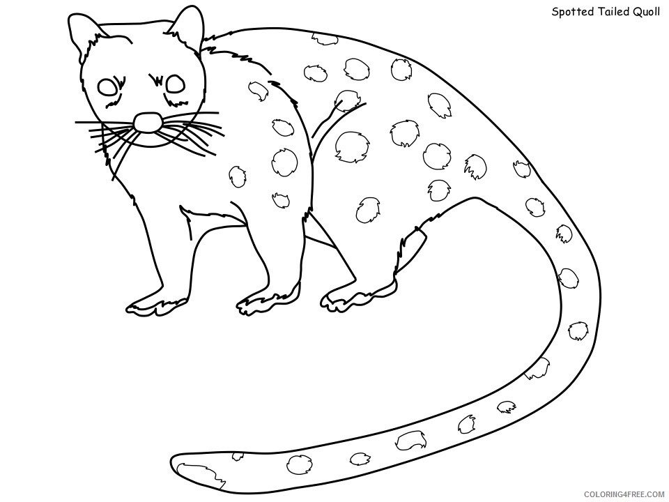 Rainforest Coloring Pages Nature spotted quoll Printable 2021 477 Coloring4free