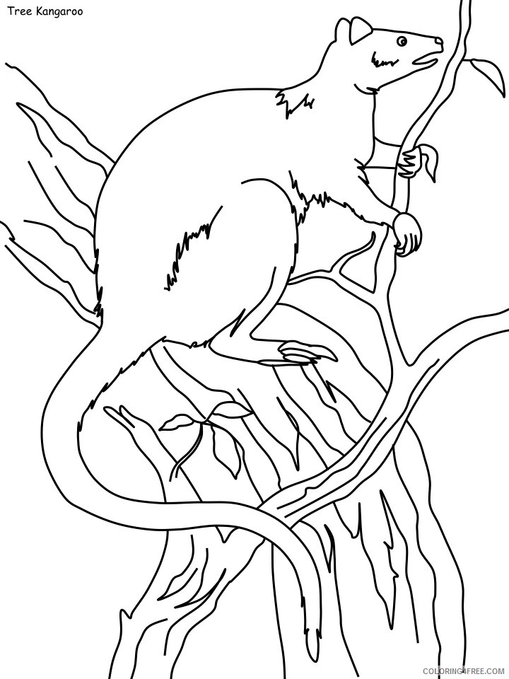 Rainforest Coloring Pages Nature tree kangaroo Printable 2021 479 Coloring4free