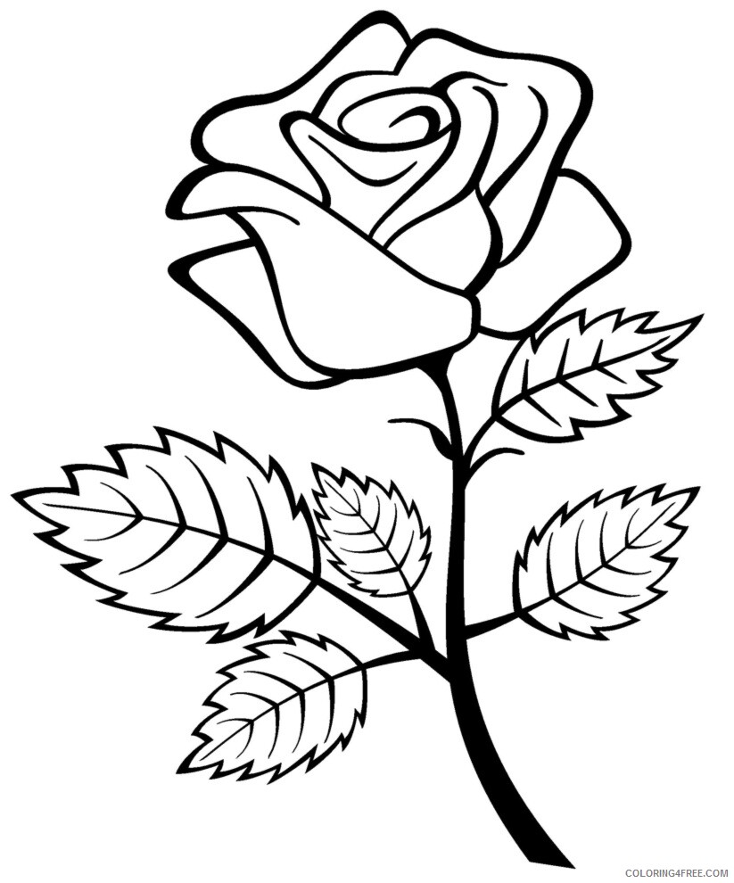 Rose Coloring Pages Flowers Nature Printable Roses Printable 2021 442 Coloring4free