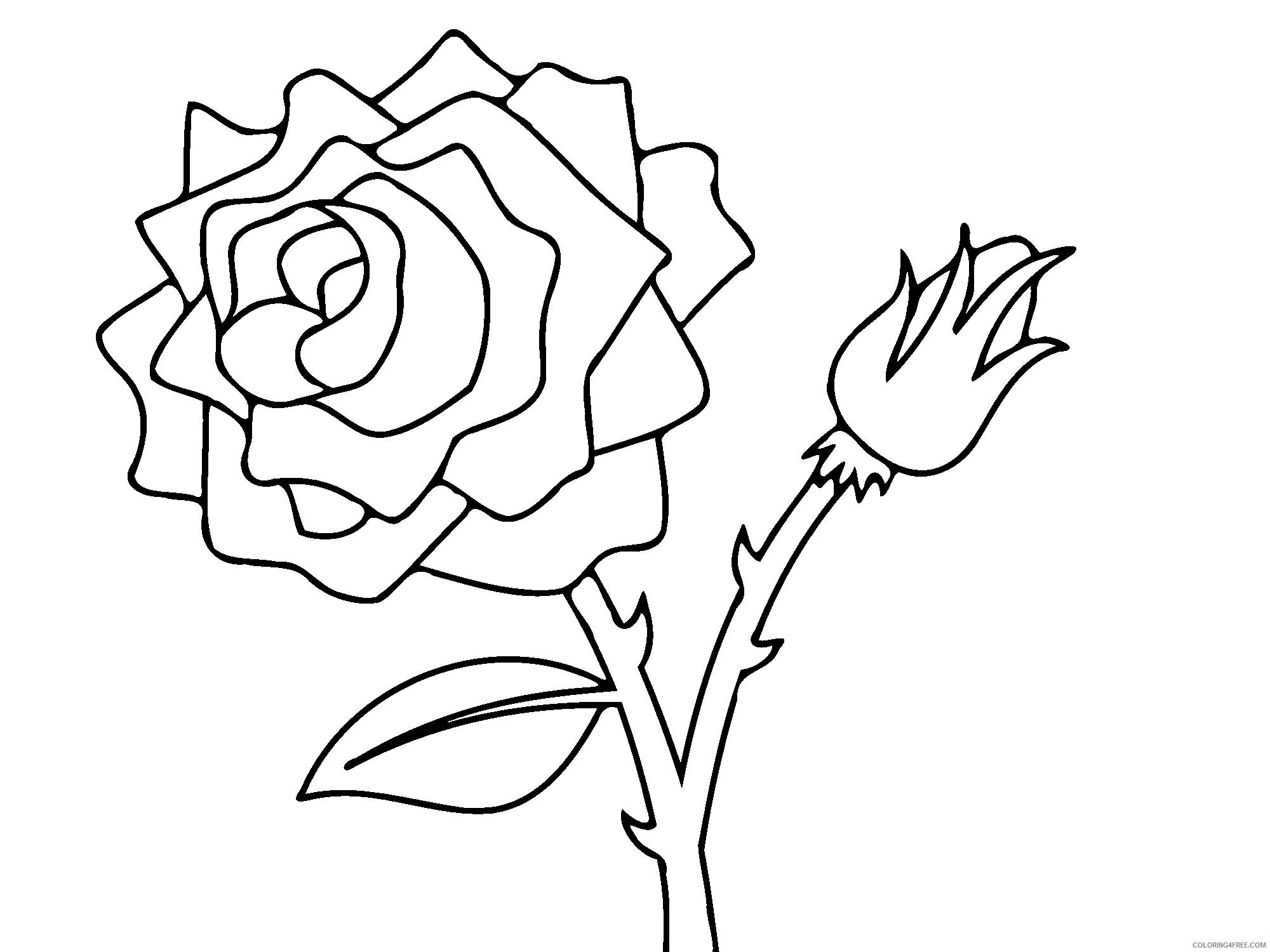 Rose Coloring Pages Flowers Nature Rose Flower 2 Printable 2021 456 Coloring4free