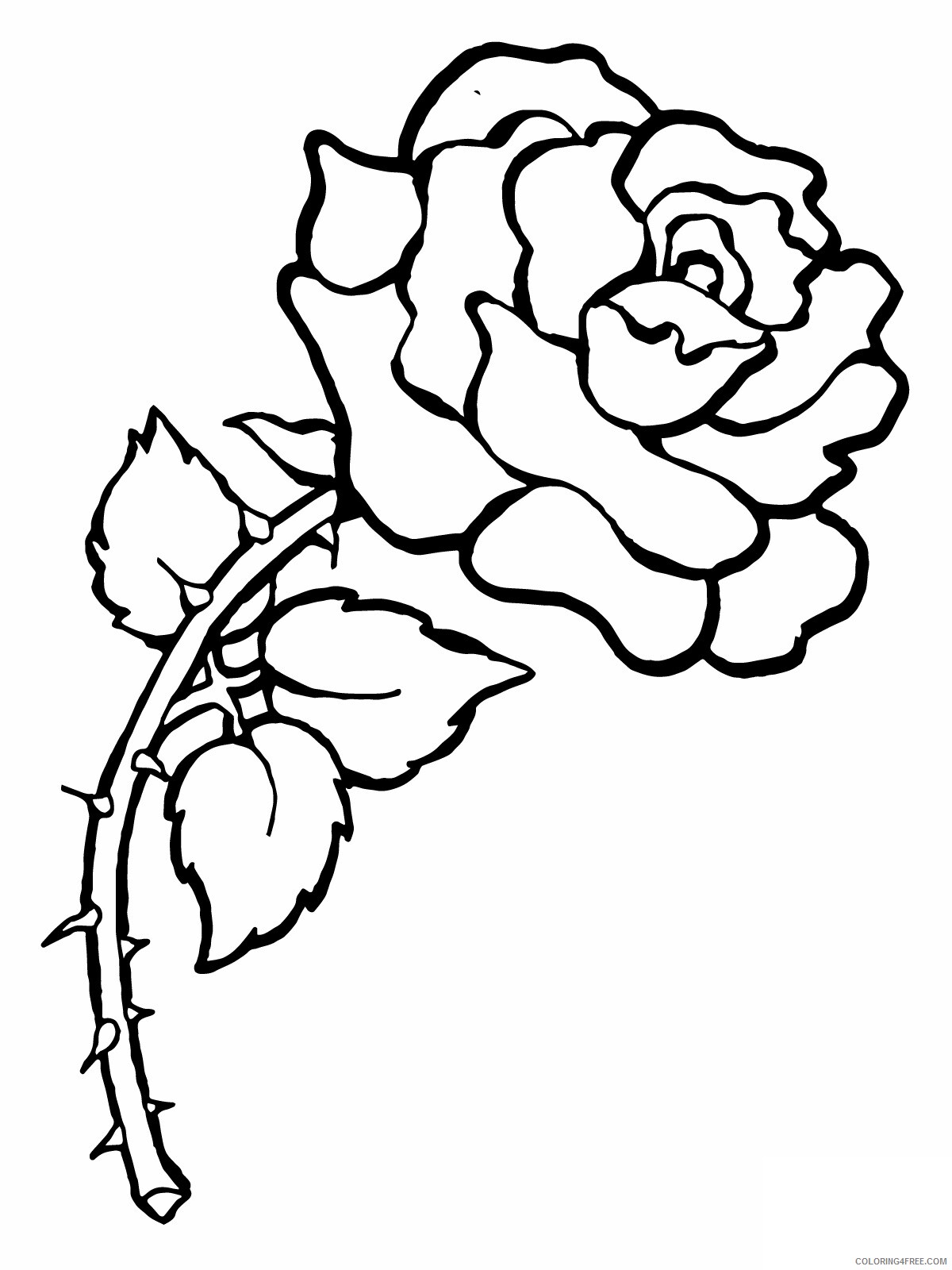 Rose Coloring Pages Flowers Nature Rose To Print Printable 2021 453 Coloring4free