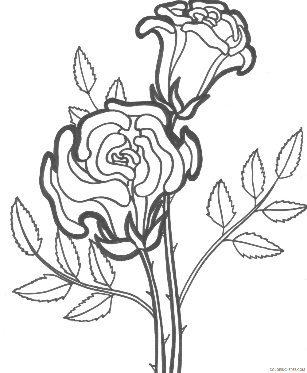 Rose Coloring Pages Flowers Nature of Rose Printable 2021 434 Coloring4free