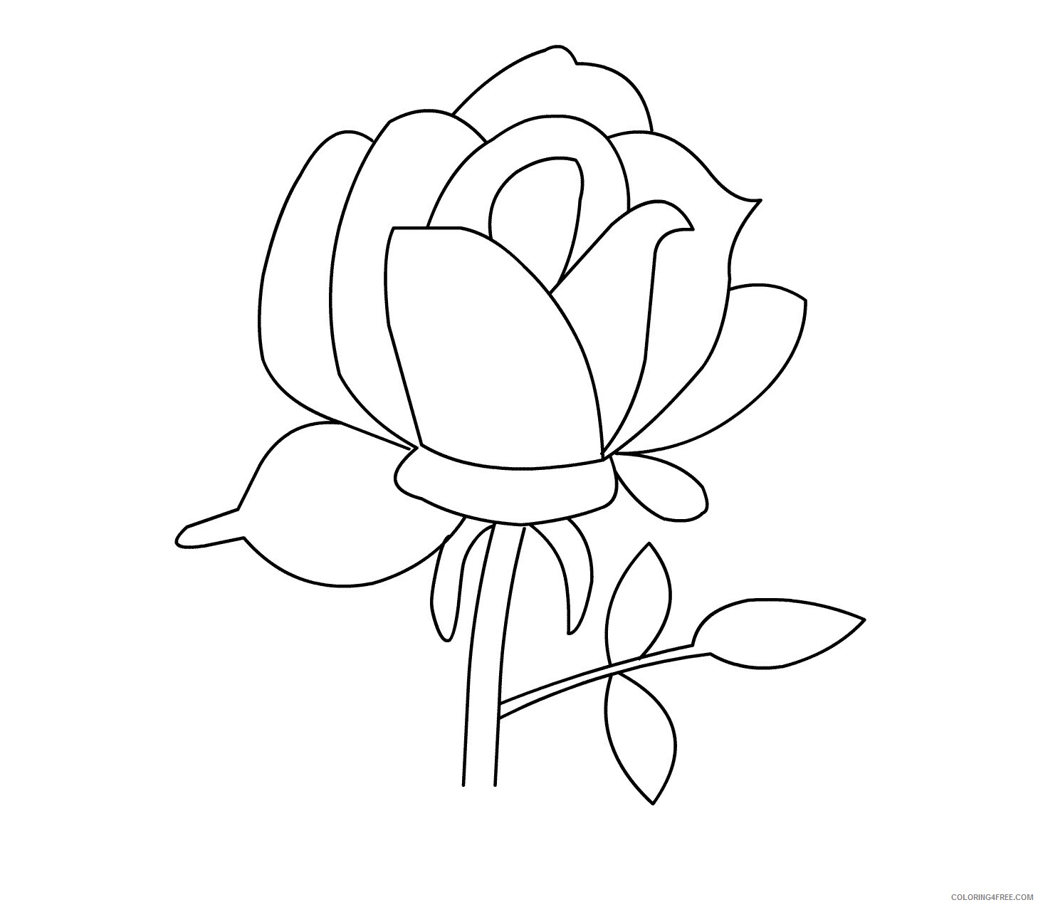 Rose Coloring Pages Flowers Nature of a Rose Printable 2021 433 Coloring4free