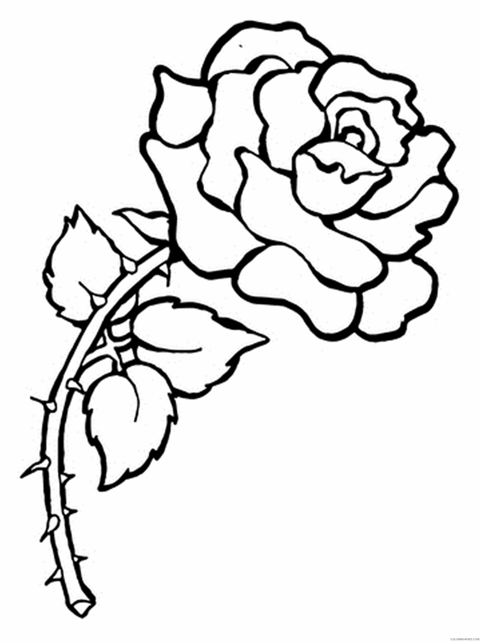 Rose Coloring Pages Flowers Nature printable rose flower Printable 2021 441 Coloring4free