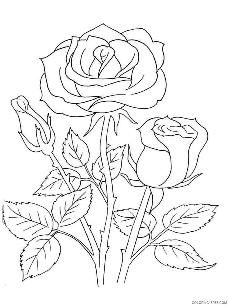 Rose Coloring Pages Flowers Nature rose flower 19 Printable 2021 459 Coloring4free