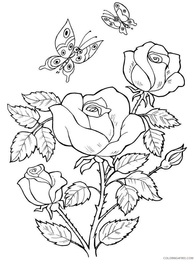 Rose Coloring Pages Flowers Nature rose flower 5 Printable 2021 461 Coloring4free