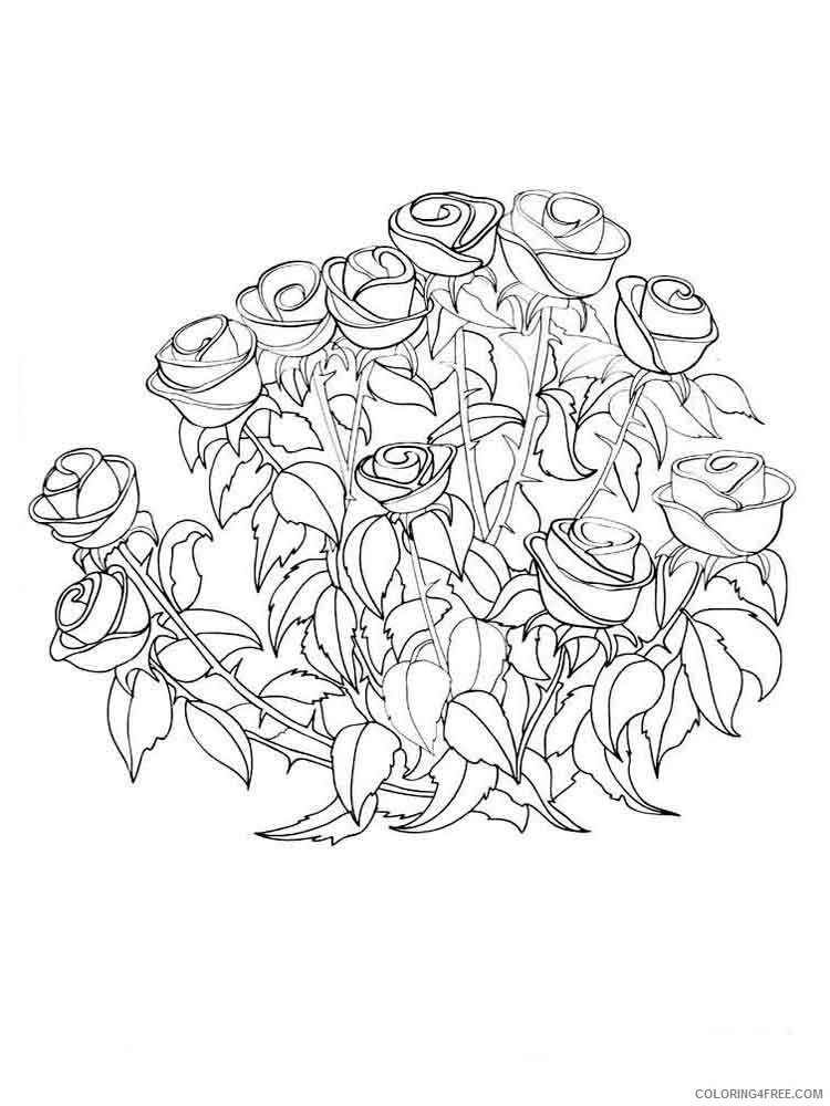 Rose Coloring Pages Flowers Nature rose flower 8 Printable 2021 462 Coloring4free
