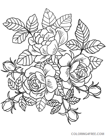 Rose Coloring Pages Flowers Nature roses flowers Printable 2021 427 Coloring4free