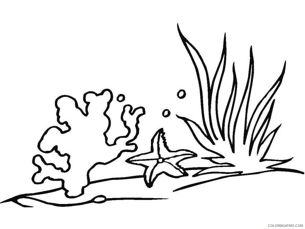 Seaweed Coloring Pages Nature Seaweed 5 Printable 2021 534 Coloring4free