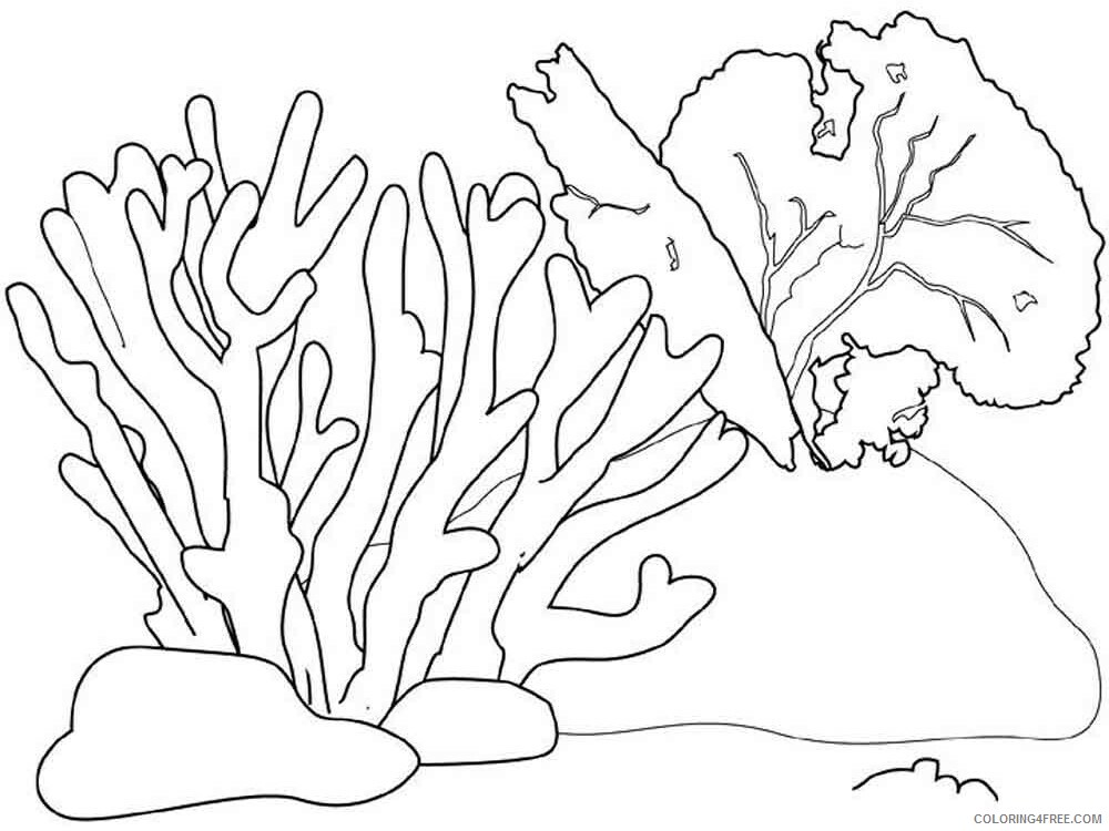 Seaweed Coloring Pages Nature Seaweed 8 Printable 2021 535 Coloring4free