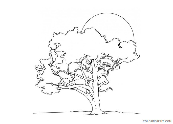 Spring Coloring Pages Nature Spring tree Printable 2021 613 Coloring4free