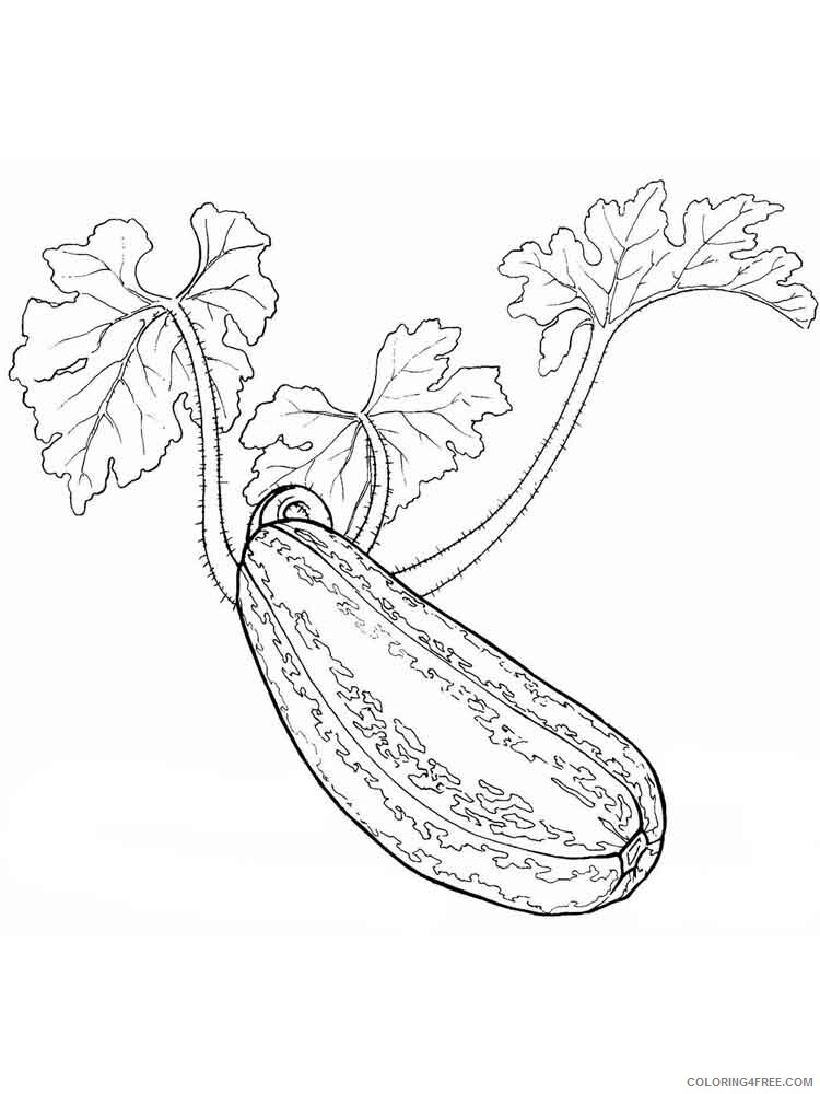 Squash Coloring Pages Vegetables Food Vegetables Squash 8 Printable 2021 750 Coloring4free