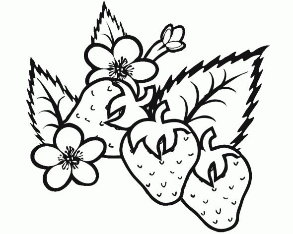 Strawberry Coloring Pages Fruits Food Strawberry Plant Printable 2021 422 Coloring4free