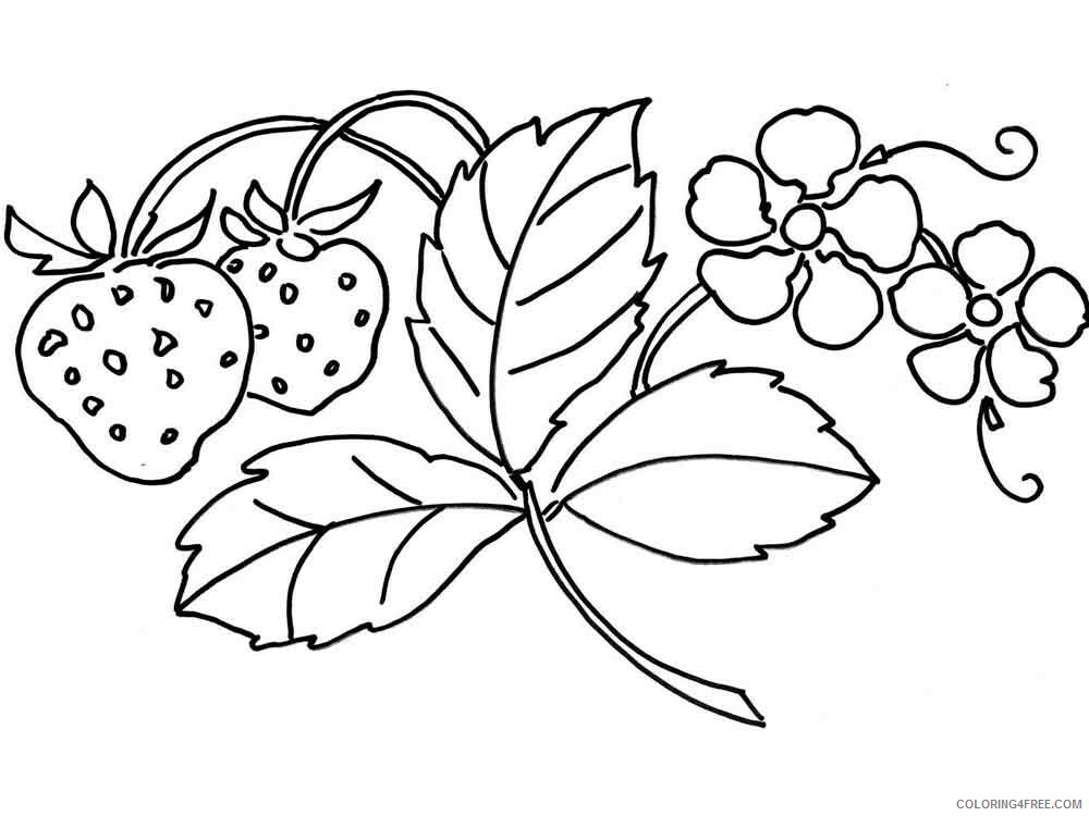 Strawberry Coloring Pages Fruits Food Strawberry berries 14 Printable 2021 412 Coloring4free