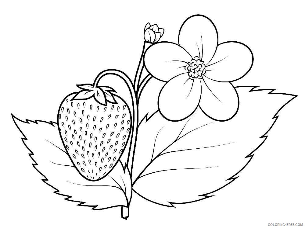 Strawberry Coloring Pages Fruits Food Strawberry berries 15 Printable 2021 413 Coloring4free