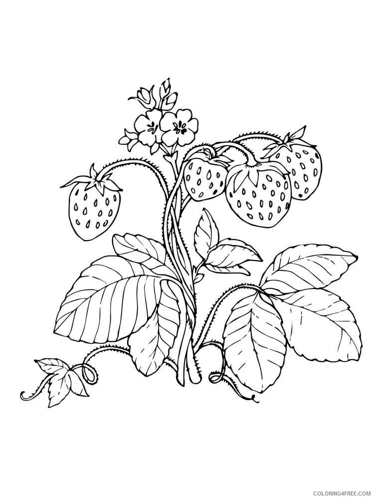Strawberry Coloring Pages Fruits Food Strawberry berries 8 Printable 2021 417 Coloring4free