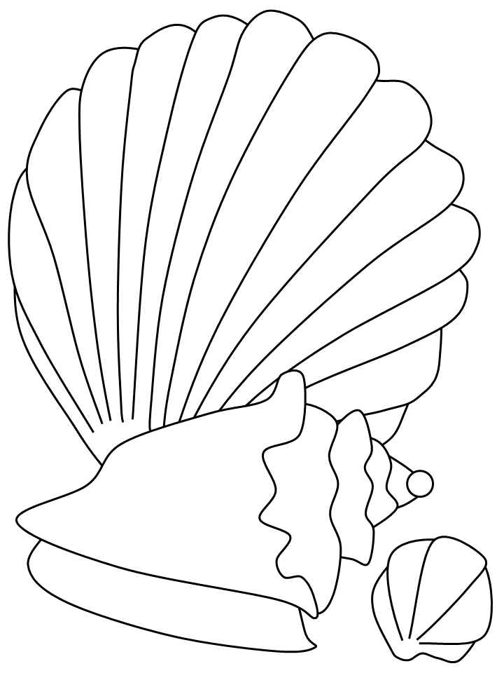 Summer Coloring Pages Nature seashells Printable 2021 650 Coloring4free