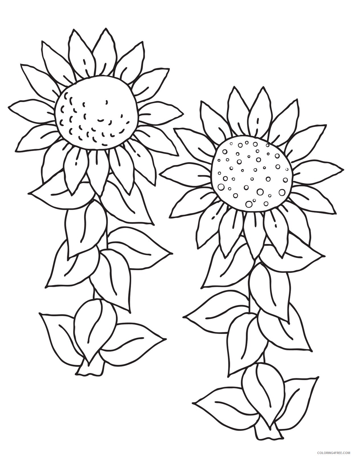 Sunflower Coloring Pages Nature Free Sunflower Printable 2021 729 Coloring4free