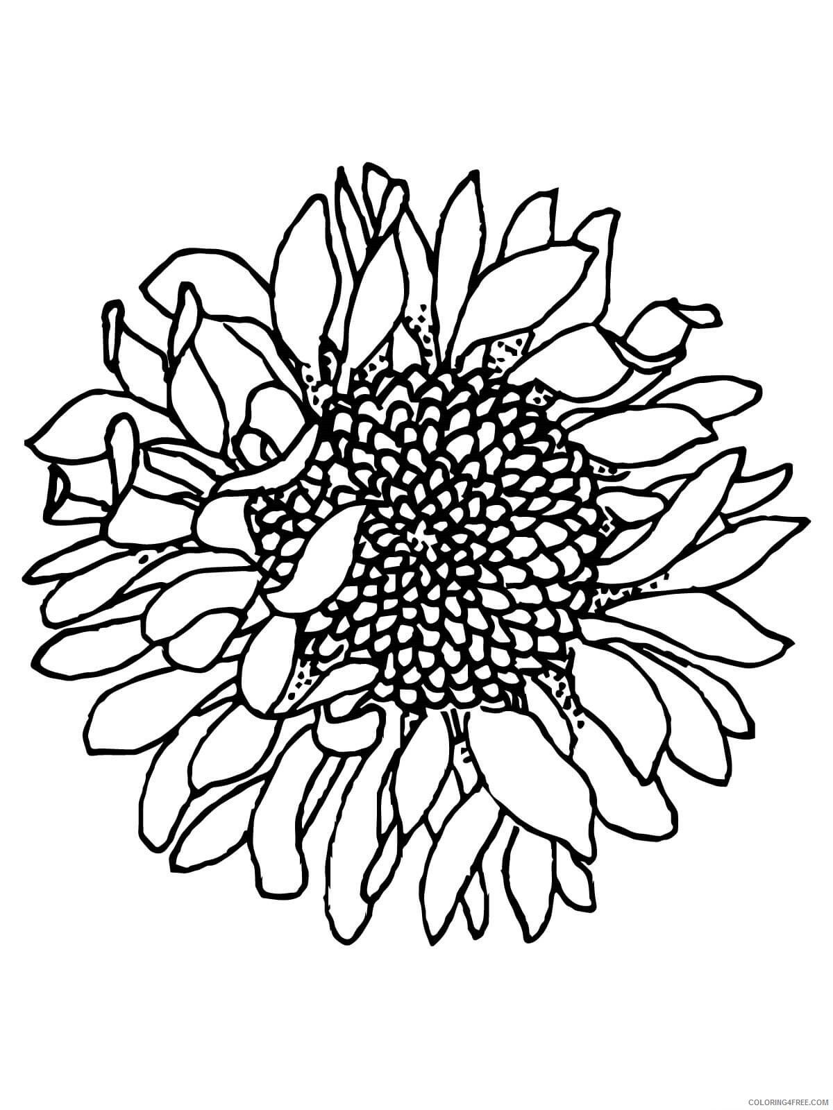 Sunflower Coloring Pages Nature Printable 2021 727 Coloring4free
