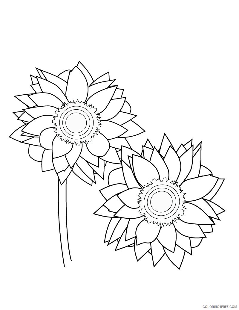Sunflower Coloring Pages Nature Sunflower Printable 2021 733 Coloring4free