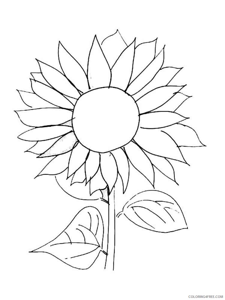 Sunflower Coloring Pages Nature Sunflower flower 12 Printable 2021 735 Coloring4free